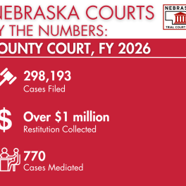 FY 2026 County Court Numbers