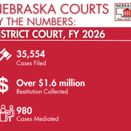 FY 2026 District Court Numbers