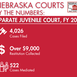 FY 2026 Separate Juvenile Court Numbers