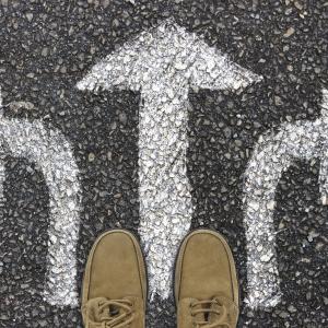 What are the alternatives to full guardianship?