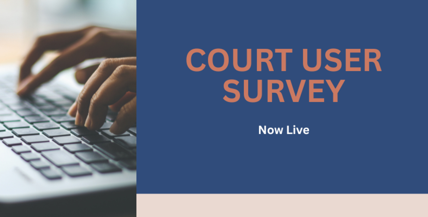 Court User Survey Banner
