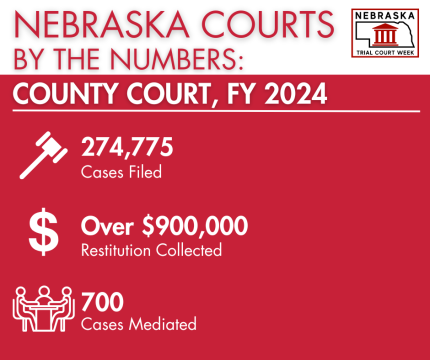 County Court Numbers FY 24