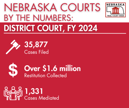 District Court Numbers FY 24