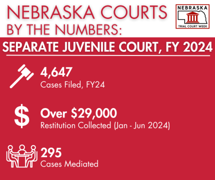 Separate Juvenile Court Numbers FY 24