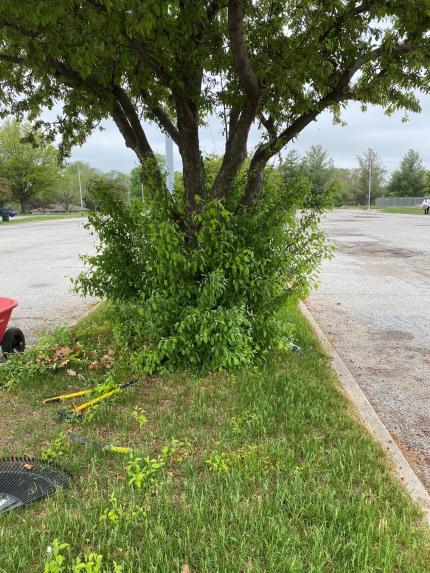 Douglas County Adult Probation Keeping Hitchcock Park Beautiful