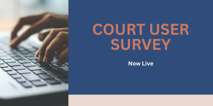 Court User Survey banner