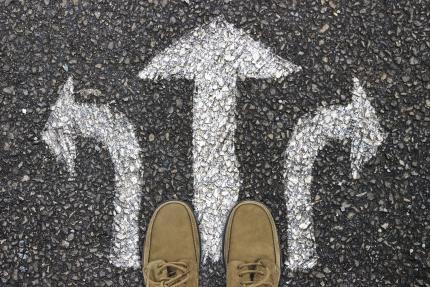 What are the alternatives to full guardianship?