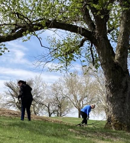 Douglas County Adult Probation Keeping Fontenelle Park Beautiful