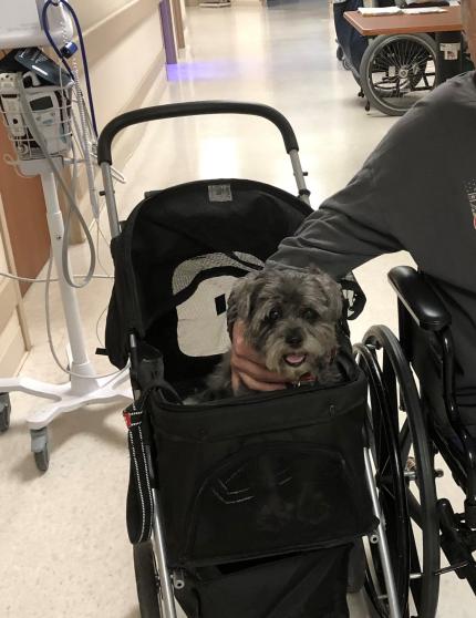 Associate Public Guardian Introduces Therapy Dog to Omaha Nursing Home