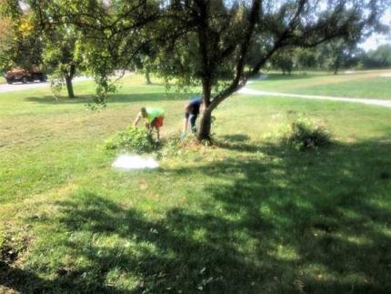 Douglas County Adult Probation Keeping Fontenelle Park Beautiful
