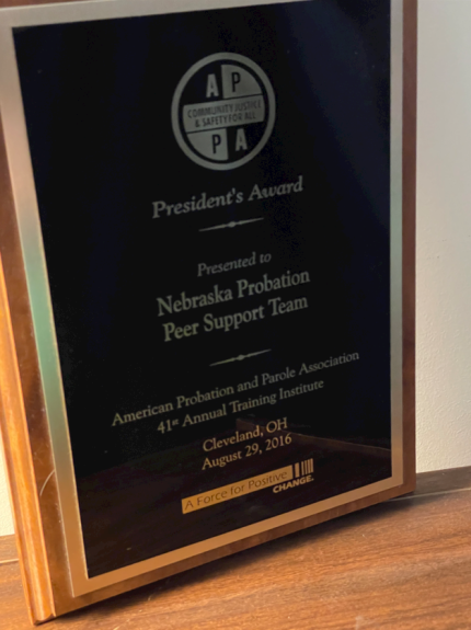 Peer Support Award
