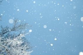 Judicial Branch Inclement Weather Policy
